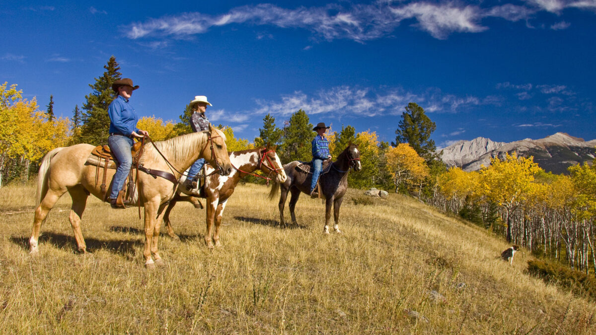 Horseback-Riding